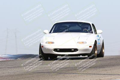 media/Oct-19-2024-Speed Ventures (Sat) [[2b24c230c9]]/Purple/Session 2 (Grapevine)/